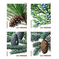 Forever Stamps 2010 Holiday Evergreens-Seasonal Celebration, First-Class Postage