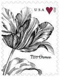 Two-Ounce Stamps 2015 Tulip-Wedding Invitation, First-Class Postage