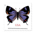$1.12 Stamps 2021 Colorado Hairstreak Butterfly-Non-Machinable Surcharge, First-Class Rate