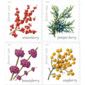 Forever Stamps 2019 Winter Berries-Seasonal Holiday Collection, First-Class Postage