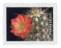 Forever Stamps 2019 Cactus Flowers-Nature Series, First-Class Postage