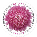 Global Forever Stamps 2020 Chrysanthemum-Floral Collection, International Rate