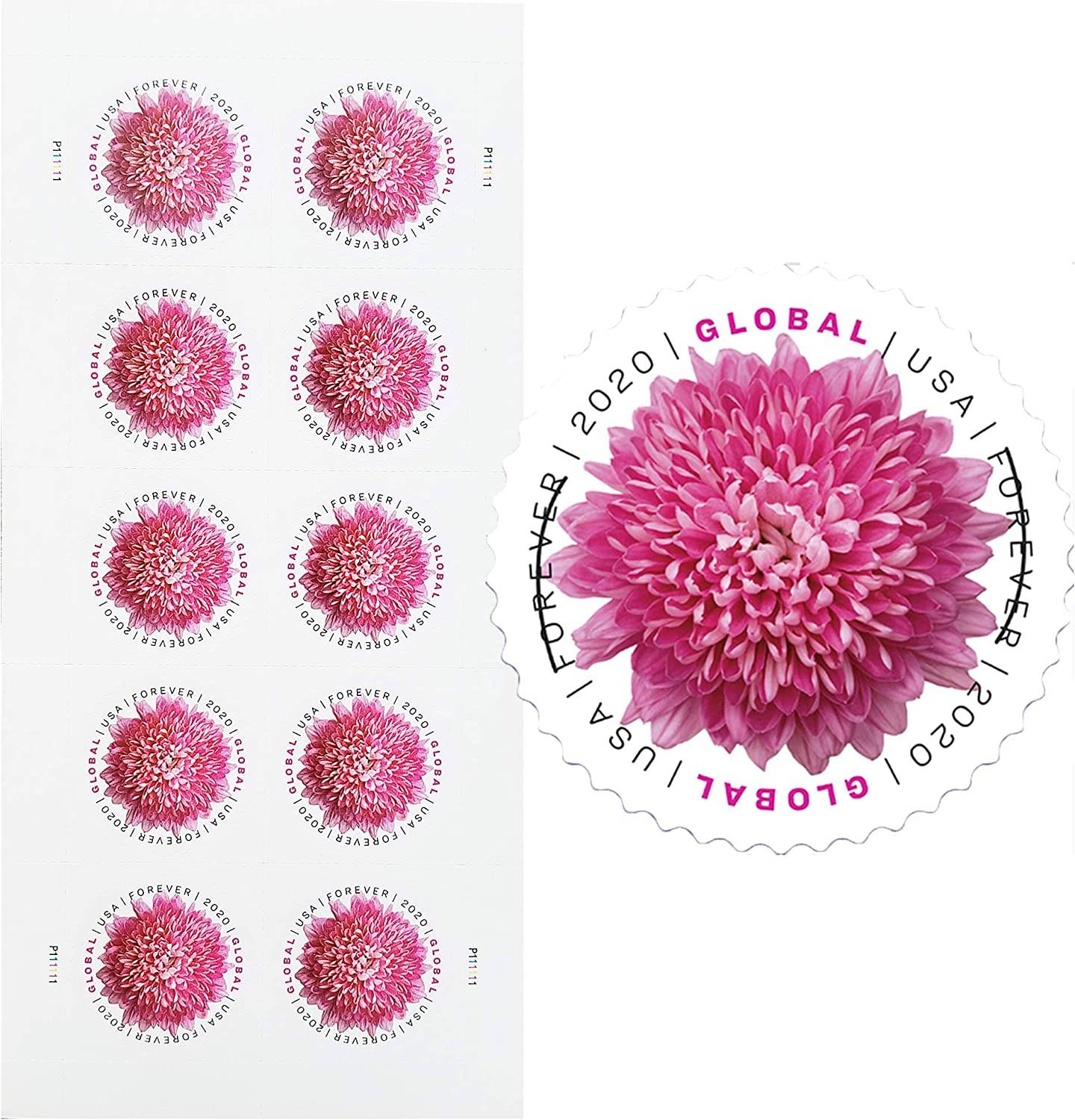 Global Forever Stamps 2020 Chrysanthemum-Floral Collection, International Rate