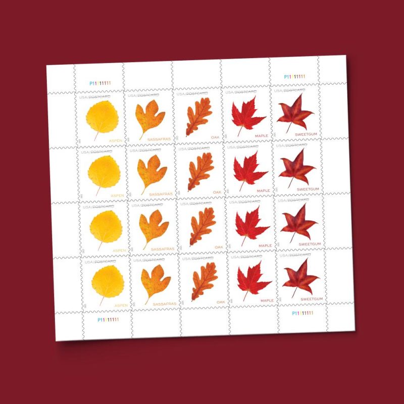 Postcard Rate Stamps 2025 Autumn Leaves-Nature Series, First-Class Rate