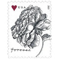 Forever Stamps 2015 Vintage Rose-Wedding Invitation & Love Celebration, First-Class Postage