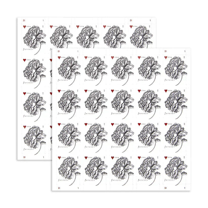 Forever Stamps 2015 Vintage Rose-Wedding Invitation & Love Celebration, First-Class Postage