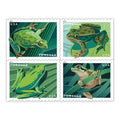 Forever Stamps 2019 Frogs-Wildlife Series, First-Class Postage
