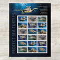 Forever Stamps 2024 Kemp¡¯s Ridley Sea Turtle-Nature Series, First-Class Postage
