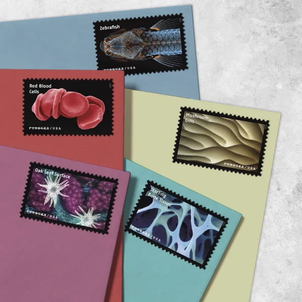 Forever Stamps 2023 Life Magnified-Freshwater Protozoans, First-Class Postage
